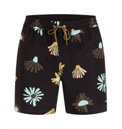 Men's Cannonball Volley Boardshorts PD04 $22.00 Swimsuits