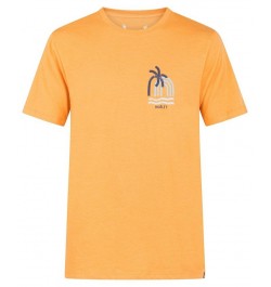 Men's Everyday Alhoa Short Sleeve T-shirt Orange $12.18 T-Shirts