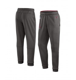 Men's Pewter Tampa Bay Buccaneers Sideline Logo Performance Pants $42.30 Pants